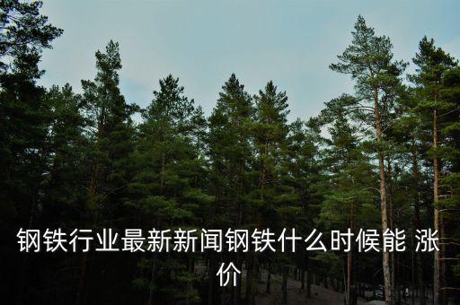 鋼鐵行業最新新聞鋼鐵什么時候能 漲價