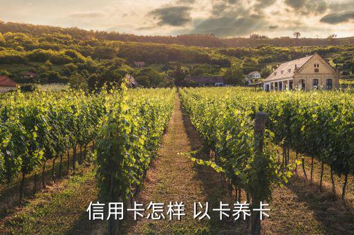  信用卡怎樣 以卡養卡