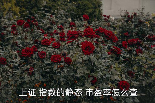  上證 指數的靜態 市盈率怎么查