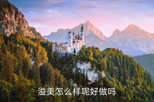 溢美金融做什么的，哪家保理公司的做的好