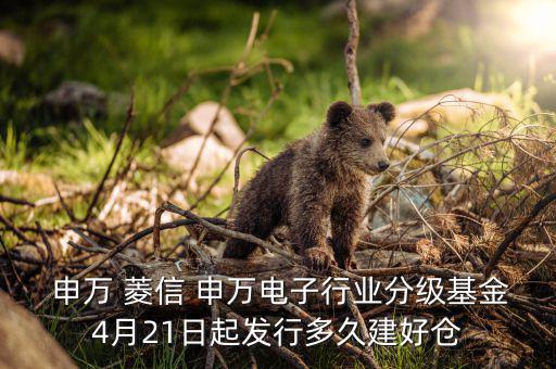  申萬 菱信 申萬電子行業分級基金4月21日起發行多久建好倉
