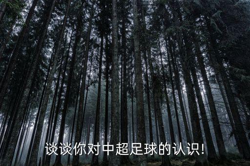 在德國怎么看中超,英國足球聯賽排名出爐我國怎么排?