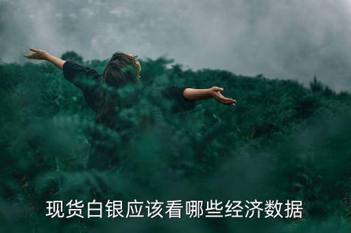 白銀價格和什么數據有關，現貨白銀應該看哪些經濟數據