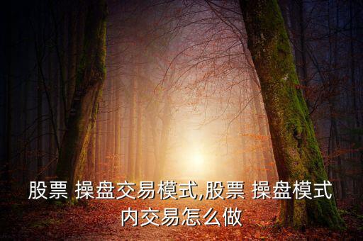 股票 操盤交易模式,股票 操盤模式內交易怎么做