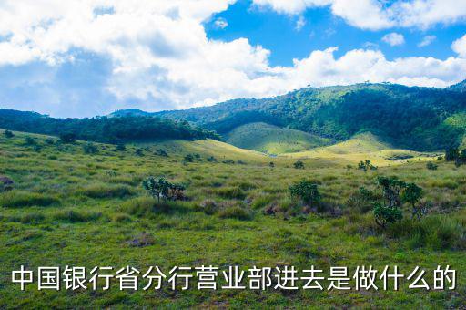 營業部是做什么的，很多公司都設有營業部請問營業部是干嘛的呀