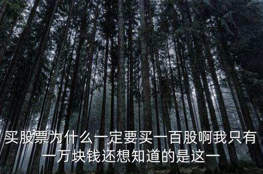 買股票為什么一定要買一百股啊我只有一萬(wàn)塊錢(qián)還想知道的是這一