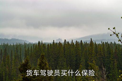 貨車司機買什么保險好，大貨車買什么保險最好