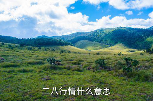 什么是288指數，股票二八現象是什么意思