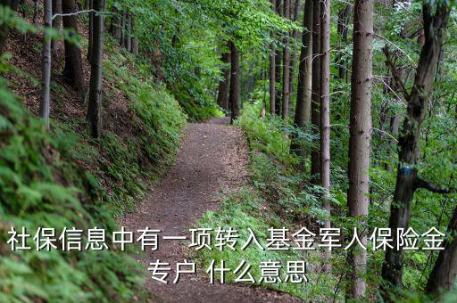 什么是社保轉(zhuǎn)入基金，請(qǐng)問(wèn)一下社保綜合中轉(zhuǎn)入基金是什么呢不明白里面的基金是怎么回事