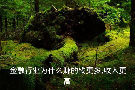 玩金融怎么賺錢,為什么金融這行業能賺這么多錢?