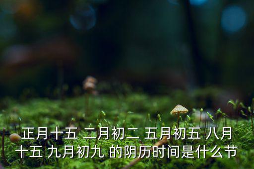 正月十五 二月初二 五月初五 八月十五 九月初九 的陰歷時間是什么節