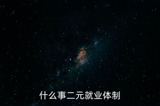 什么事二元就業體制