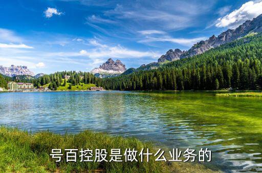 號百控股什么概念，號百控股是做什么業(yè)務(wù)的