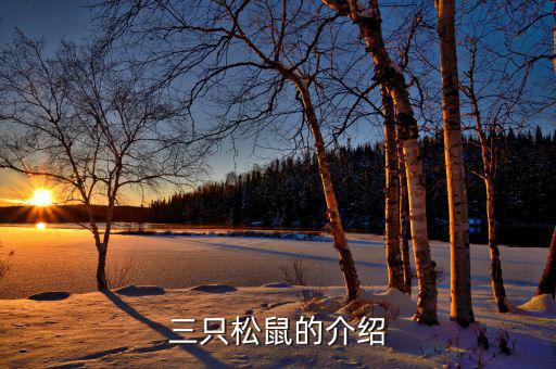 三只松鼠都做了什么，三只松鼠的銷售模式