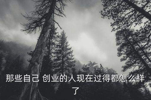 那些自己 創業的人現在過得都怎么樣了