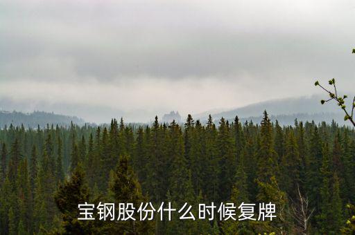 寶鋼什么時候復牌，武鋼和寶鋼什么時候完成重組