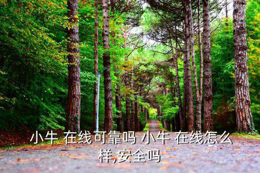 小牛在線怎么投資,網上搜索:小牛在線你會發現什么?