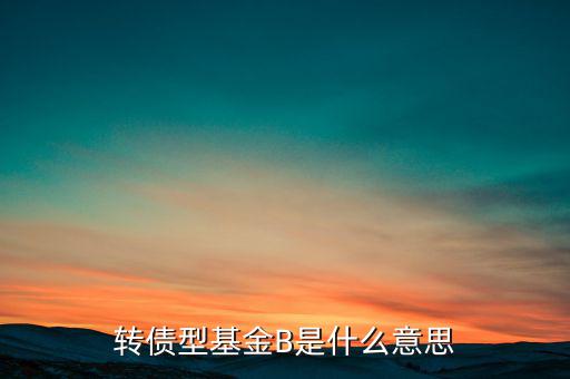 轉債型基金B是什么意思