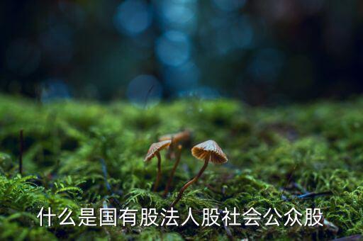 什么情況叫公眾持股，股份制上市企業誰能幫我解釋一下它是公企還是私企