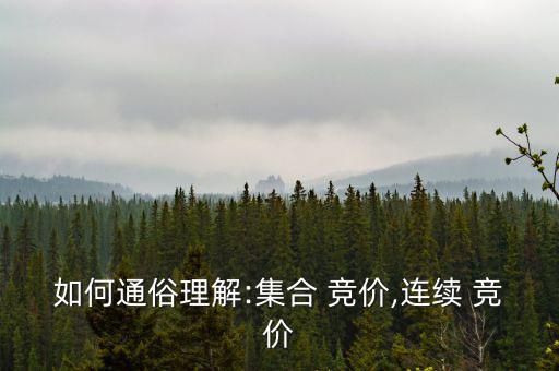 競價易怎么樣,競價交易:買賣雙方通過交易市場系統進行競價