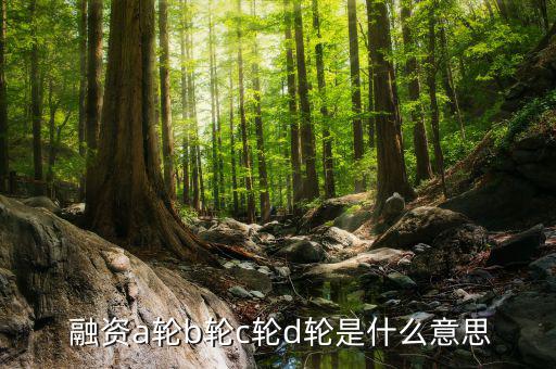融資幾輪怎么定的,企業融資有多種方式進行
