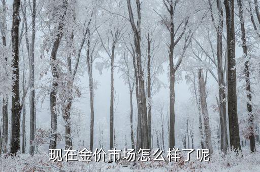 金策略怎么樣,原油黃金投資策略建議可參考國際原油價格指數