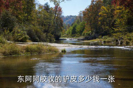 東阿阿膠股2012年是什么價位，誰知道山東東阿阿膠股份有限公司生產的補血膏多少錢一平300克的