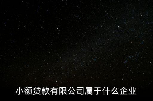 小額貸款有限公司屬于什么企業