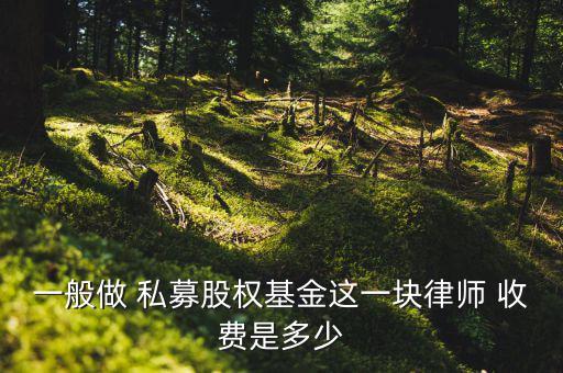 一般做 私募股權基金這一塊律師 收費是多少