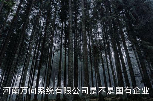 萬向集團是什么企業，萬向集團公司是哪一家公司設計的
