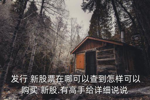  發行 新股票在哪可以查到怎樣可以購買 新股.有高手給詳細說說
