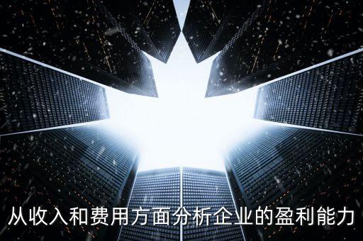 從收入和費用方面分析企業的盈利能力