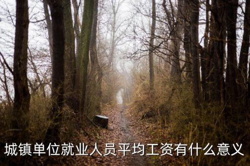 城鎮單位就業人員平均工資有什么意義