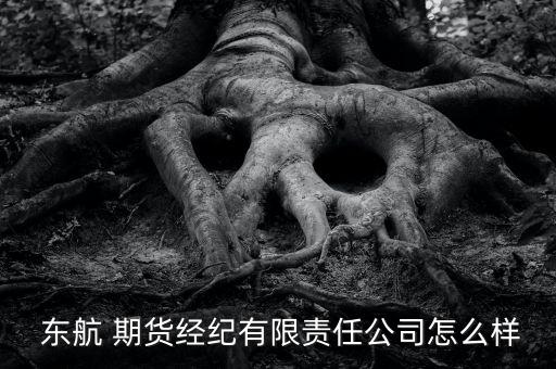東航金融期貨怎么樣,東航期貨的優勢與劣勢