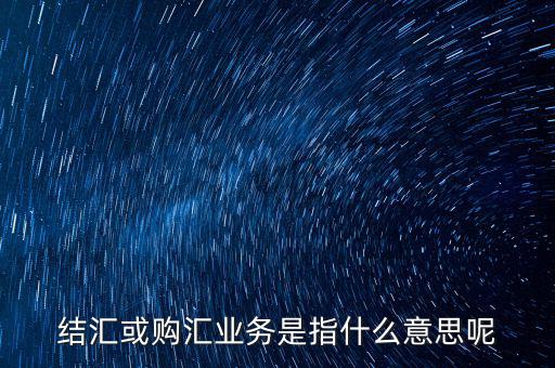 結匯購匯是什么意思，結匯或購匯業務是指什么意思呢
