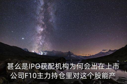 ipo獲配機構什么意思，ipo配售是什么意思