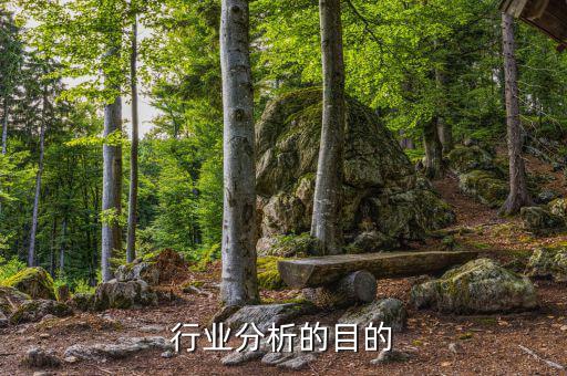 為什么要進行行業分析，為什么要進行市場分析