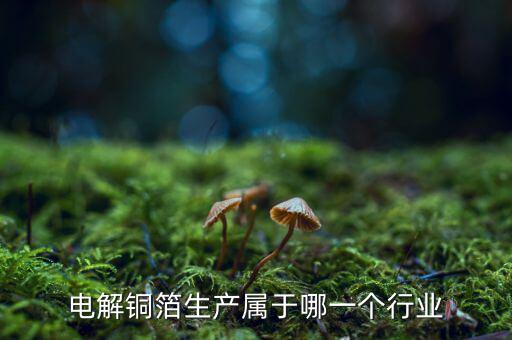 電子銅箔屬于什么行業，電解銅箔生產屬于哪一個行業