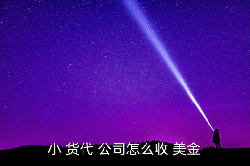 貨代公司付美金去銀行怎么付,美元需在銀行指定網點兌換成人幣