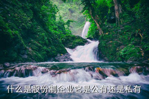 什么是股份制企業它是公有還是私有