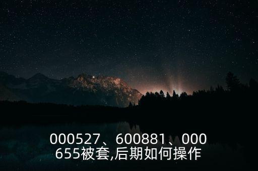 000527、600881、000655被套,后期如何操作