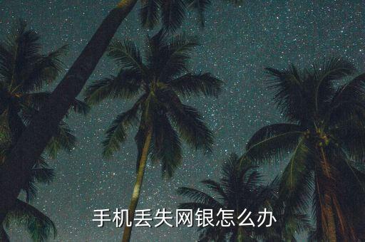 手機丟失網銀怎么辦