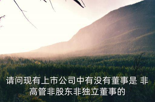 什么是非獨立董事，什么叫執行董事非執行董事和獨立非執行董事