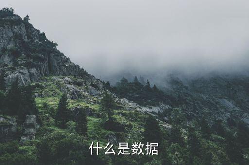 什么是數據