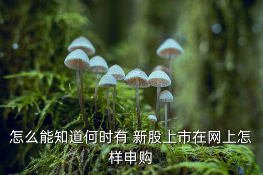 怎么能知道何時有 新股上市在網上怎樣申購