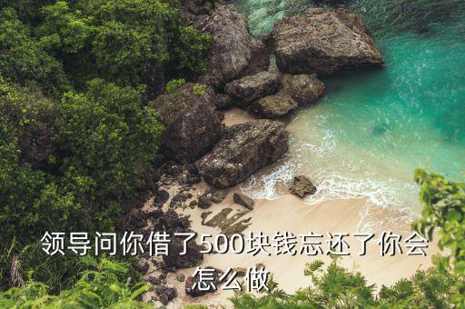  領導問你借了500塊錢忘還了你會怎么做