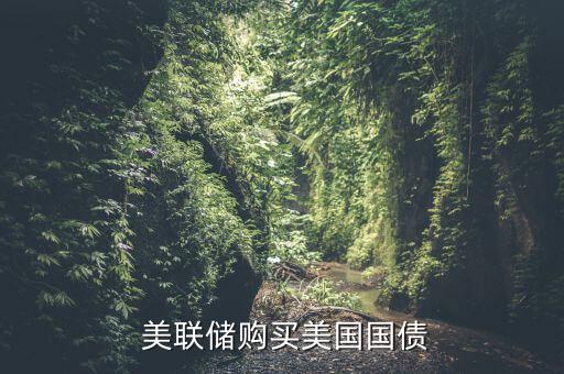 美聯儲怎么賺錢,美聯儲:發行更多紙幣影響美元匯率升