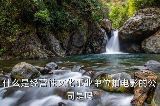 什么是經(jīng)營(yíng)性事業(yè)單位，哪些屬于經(jīng)營(yíng)性文化事業(yè)單位