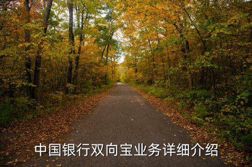 中行雙向?qū)毷鞘裁矗袊y行雙向?qū)殬I(yè)務(wù)詳細(xì)介紹