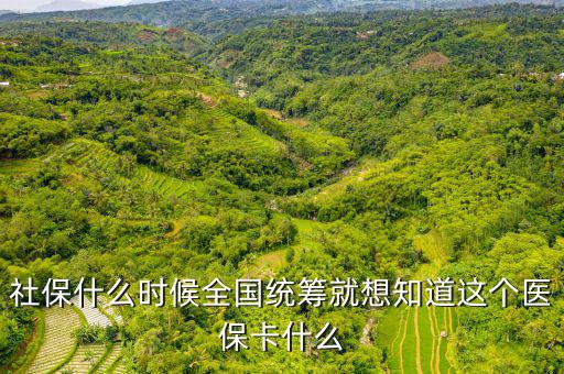 社保什么時候全國統(tǒng)籌就想知道這個醫(yī)保卡什么